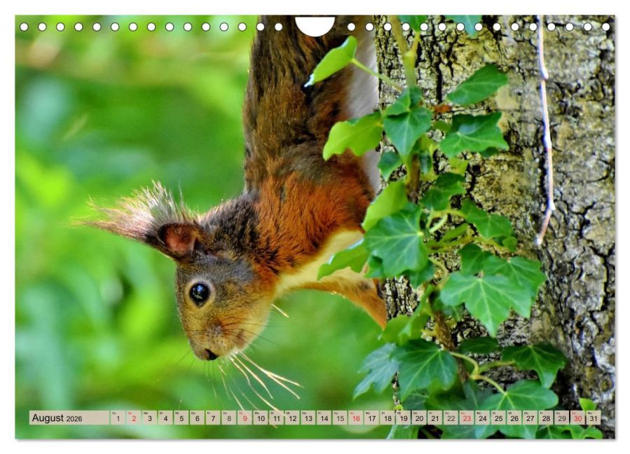 InsideView 13