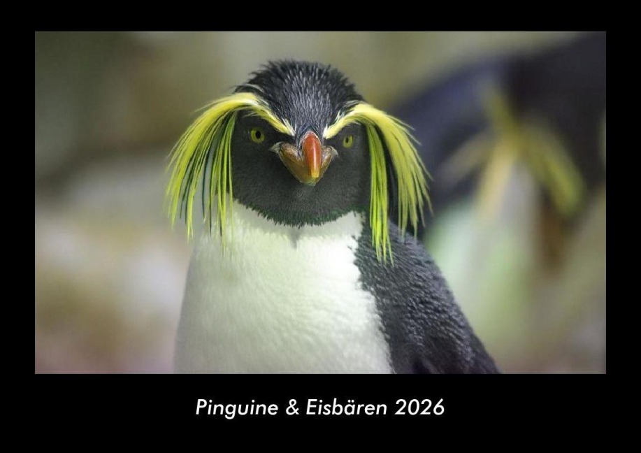 Pinguine & Eisbären 2026 Fotokalender DIN A3 - Tobias Becker