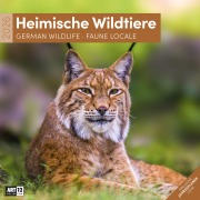 Cover-Bild zum Titel 'Heimische Wildtiere Broschürenkalender 2026 - 30x30 - Art12' von ''