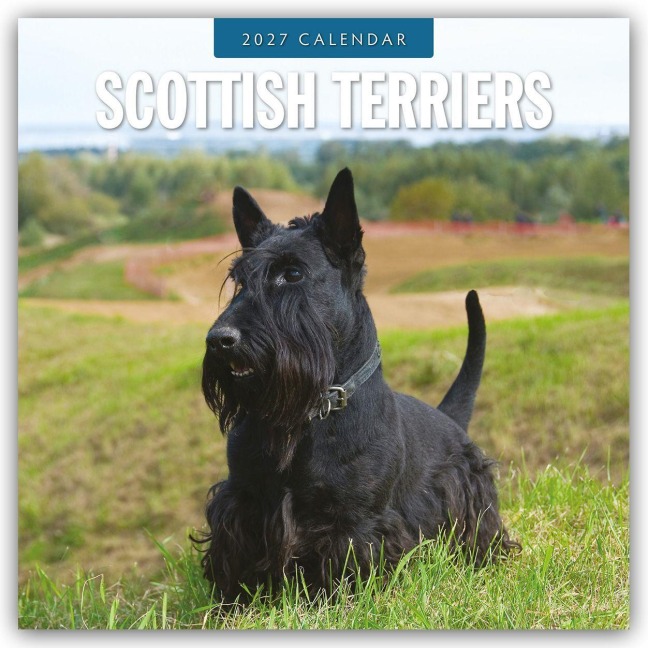 Scottish Terrier - Scotchterrier 2027 - 16-Monatskalender - Robin Red
