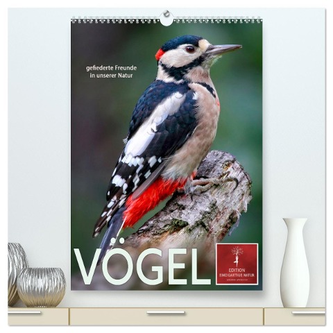 Vögel - gefiederte Freunde in unserer Natur (hochwertiger Premium Wandkalender 2025 DIN A2 hoch), Kunstdruck in Hochglanz - Peter Roder