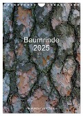 Baumrinde 2025 (Wandkalender 2025 DIN A4 hoch), CALVENDO Monatskalender - Alexander von Düren