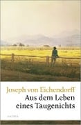 Cover-Bild zum Titel 'Aus dem Leben eines Taugenichts' von 'Joseph von Eichendorff'