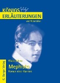 Cover-Bild zum Titel 'Mephisto. Roman einer Karriere von Klaus Mann. Textanalyse und Interpretation.' von 'Klaus Mann'