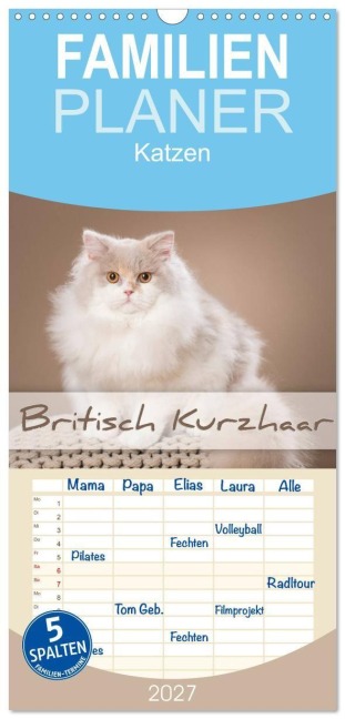 Familienplaner 2027 - Die Britisch Kurzhaar Katze mit 5 Spalten (Wandkalender, 21 x 45 cm) CALVENDO - Trio Bildarchiv