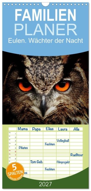 Familienplaner 2027 - Eulen. Wächter der Nacht mit 5 Spalten (Wandkalender, 21 x 45 cm) CALVENDO - Elisabeth Stanzer
