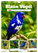 Cover-Bild zum Titel 'Blaue Vögel (Wandkalender 2026 DIN A4 hoch), CALVENDO Monatskalender' von 'Steffani Lehmann'