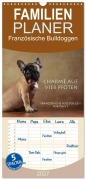 Cover-Bild zum Titel 'Familienplaner 2027 - Charme auf vier Pfoten - Französische Bulldoggen Portraits mit 5 Spalten (Wandkalender, 21 x 45 cm) CALVENDO' von 'Jana Behr'