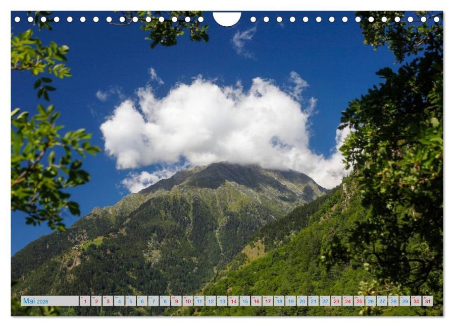 InsideView 10