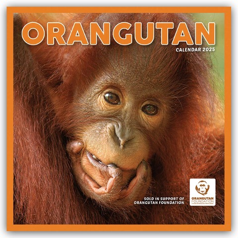Orangutan - Orang-Utan 2025 - Wand-Kalender - Carousel Calendar