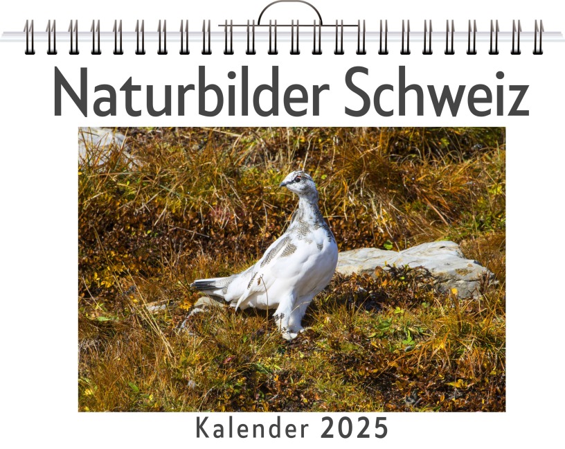Naturbilder Schweiz - David Huber