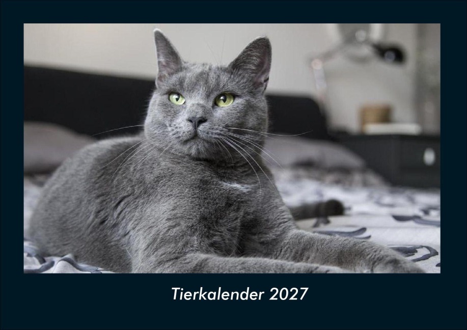 Tierkalender 2027 Fotokalender DIN A4 - Tobias Schmitt, Kevin Heber