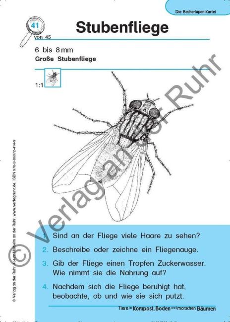 InsideView 7