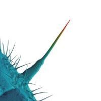 And I'll Scratch Yours - Peter Gabriel