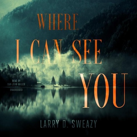 Where I Can See You Lib/E - Larry D. Sweazy