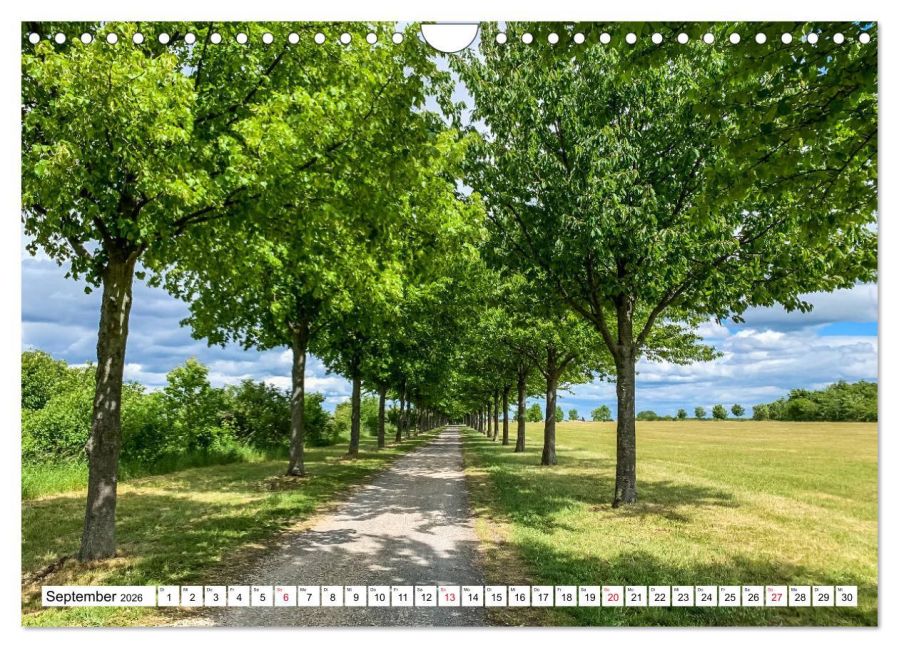 InsideView 14