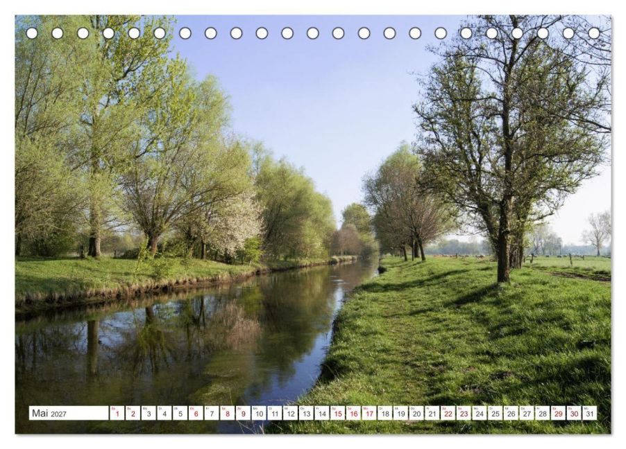 InsideView 10