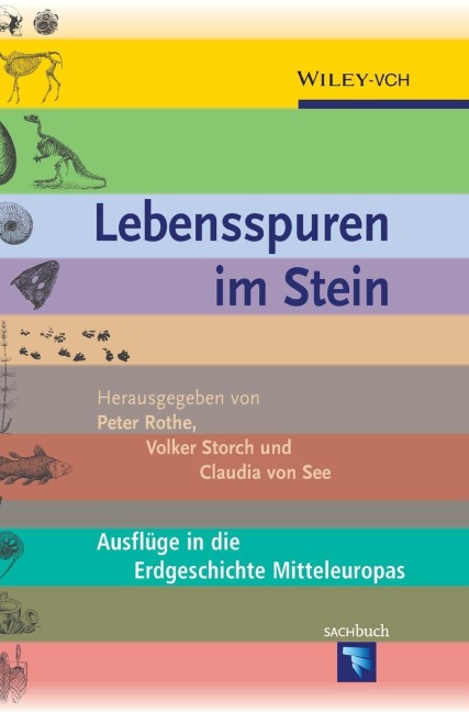 Lebensspuren im Stein - 