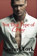 Cover-Bild zum Titel 'Not That Type of Guy' von 'Samuel York'