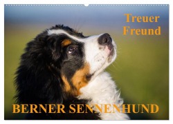 Cover-Bild zum Titel 'Treuer Freund Berner Sennenhund (Wandkalender 2026 DIN A2 quer), CALVENDO Monatskalender' von 'Sigrid Starick'