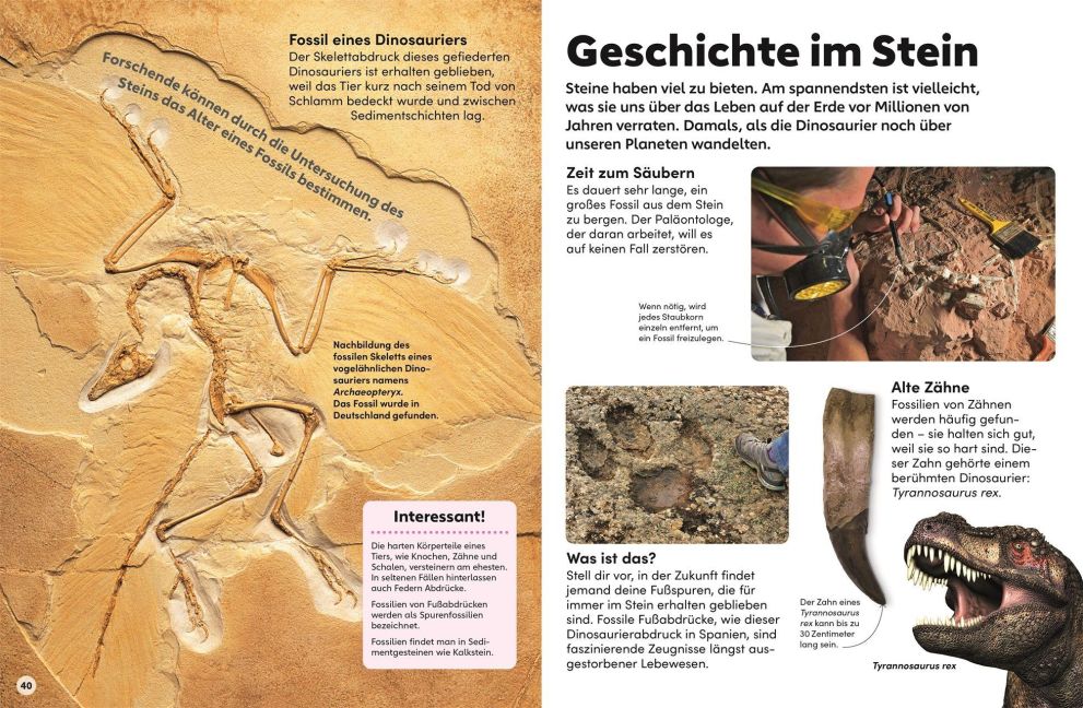 InsideView 5