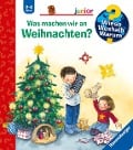 Cover-Bild zum Titel 'Wieso? Weshalb? Warum? junior, Band 44: Was machen wir an Weihnachten?' von 'Andrea Erne'