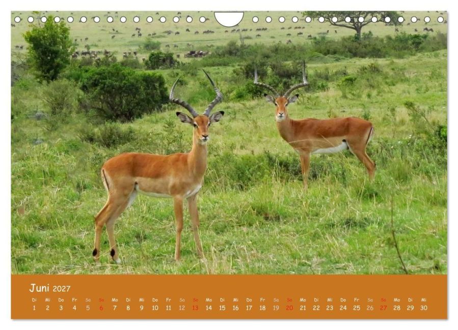 InsideView 11