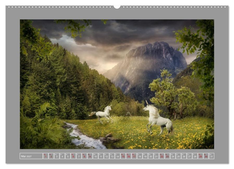 InsideView 7