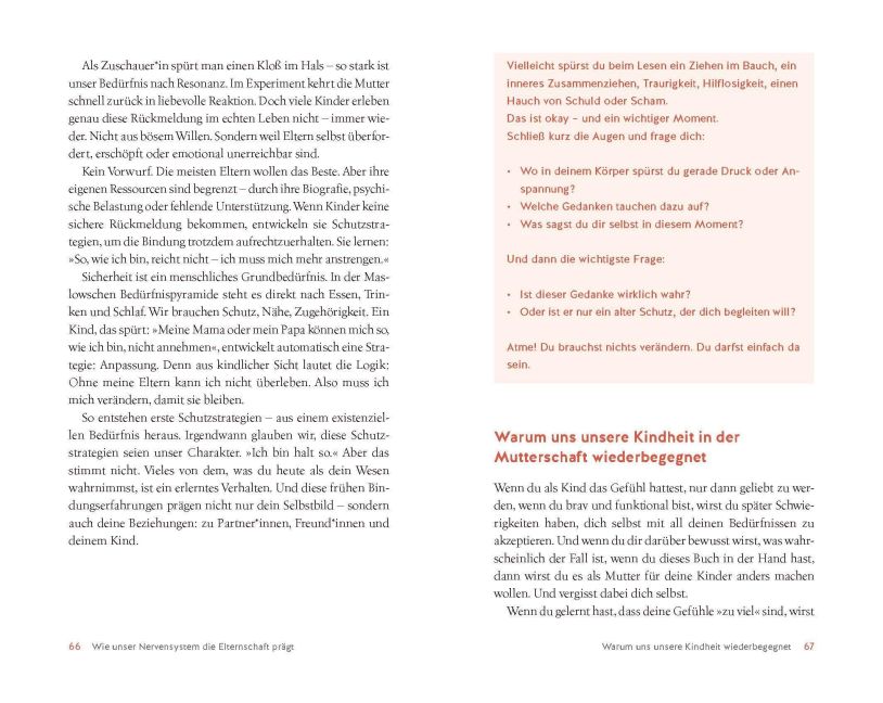 InsideView 6
