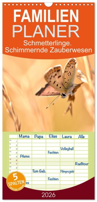 Familienplaner 2026 - Schmetterlinge. Schimmernde Zauberwesen mit 5 Spalten (Wandkalender, 21 x 45 cm) CALVENDO - Aneta Zofia Brinker