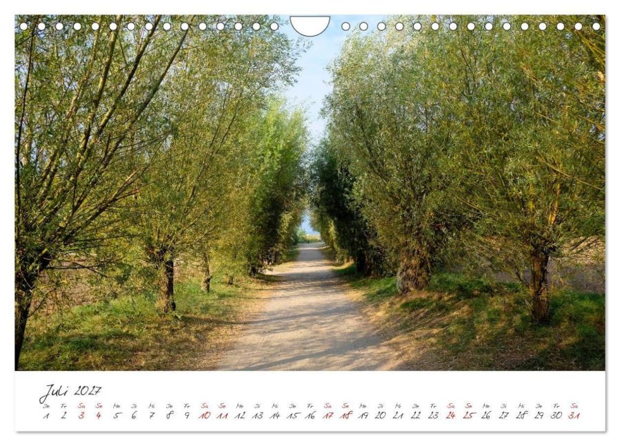 InsideView 12