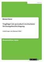 Tragflügel mit periodisch wechselnder Strömungsbeaufschlagung - Michael Dienst