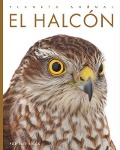 Cover-Bild zum Titel 'El Halcón' von 'Kate Riggs'