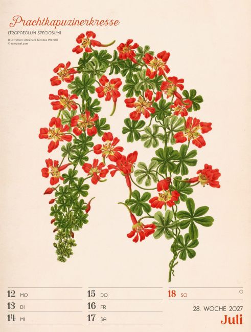 InsideView 32