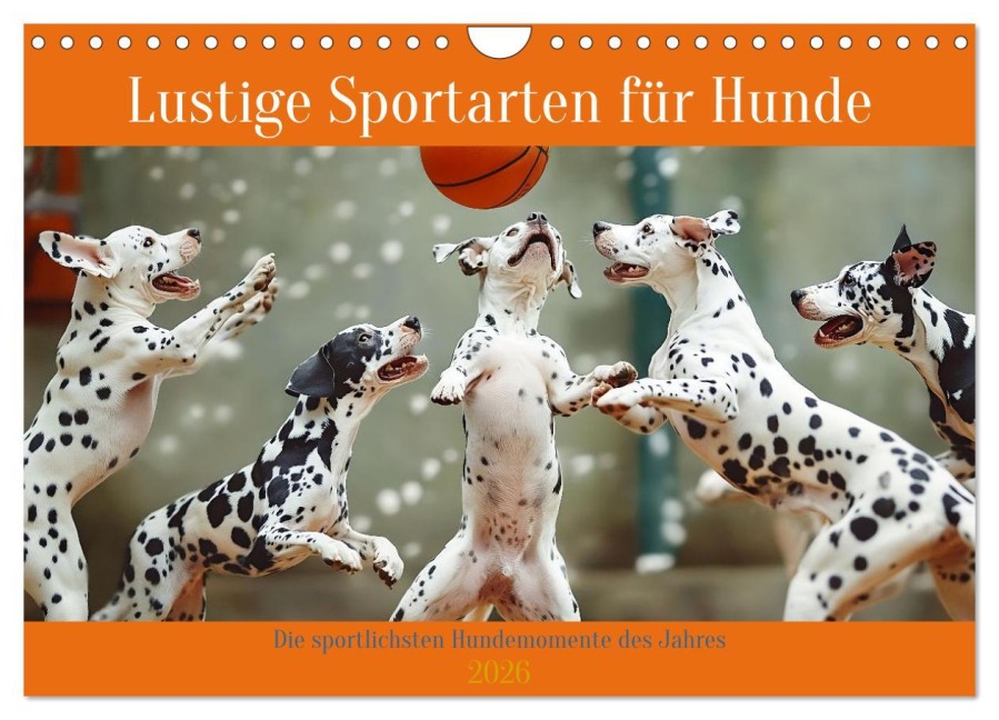Lustige Sportarten für Hunde (Wandkalender 2026 DIN A4 quer), CALVENDO Monatskalender - Daniela Tapper