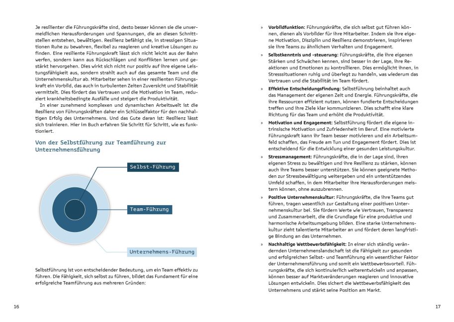 InsideView 5