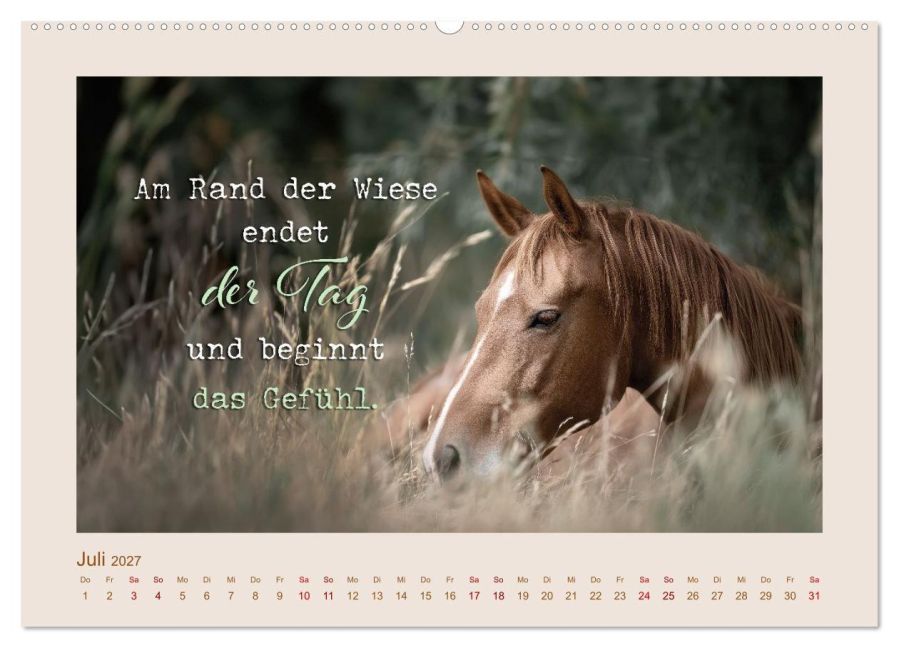 InsideView 12
