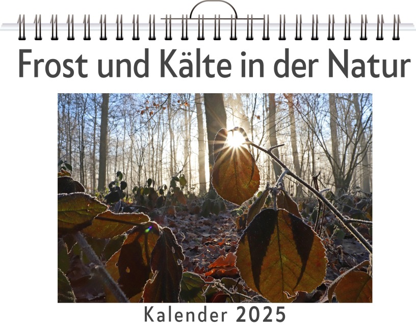 Frost und Kälte in der Natur - Sophia Wolf