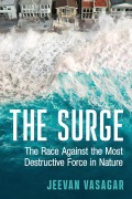 Cover-Bild zum Titel 'The Surge' von 'Jeevan Vasagar'