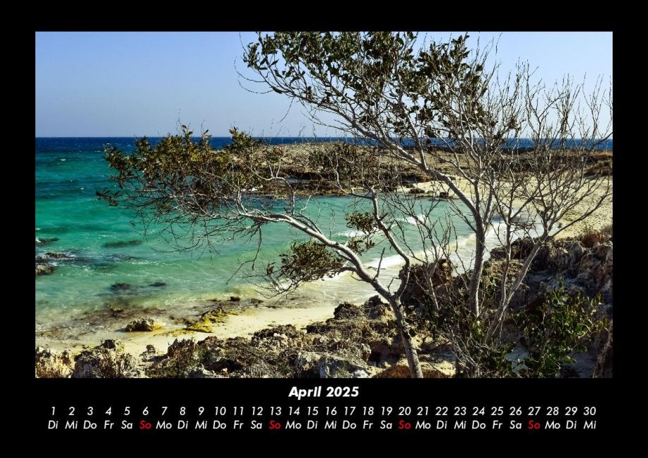 InsideView 8