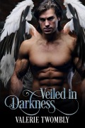 Cover-Bild zum Titel 'Veiled In Darkness (In Dunkelheit gehüllt)' von 'Valerie Twombly'