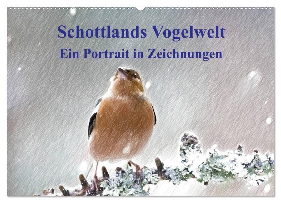 Schottlands Vogelwelt - Ein Porträt in Zeichnungen (Wandkalender 2025 DIN A2 quer), CALVENDO Monatskalender - Friederike Küster