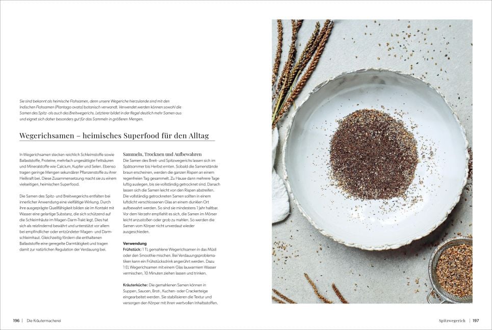 InsideView 8
