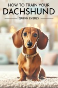 Cover-Bild zum Titel 'How to Train Your Dachshund' von 'Quinn Everly'