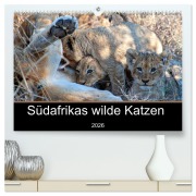 Cover-Bild zum Titel 'Südafrikas wilde Katzen (hochwertiger Premium Wandkalender 2026 DIN A2 quer), Kunstdruck in Hochglanz' von 'Markus A. Bissig'