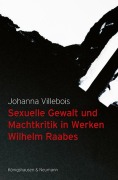 Cover-Bild zum Titel 'Sexuelle Gewalt und Machtkritik in Werken Wilhelm Raabes' von 'Johanna Villebois'