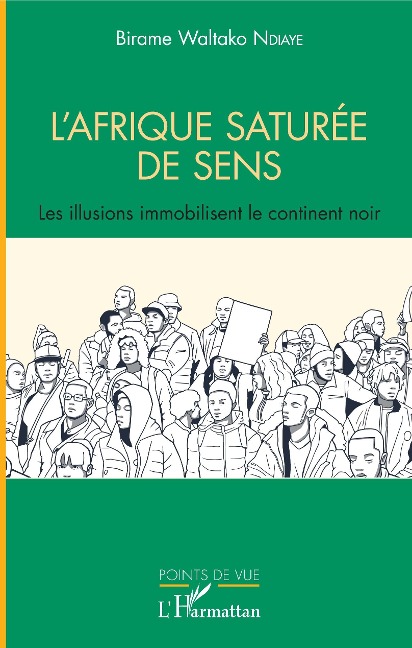 L'Afrique saturée de sens - Ndiaye