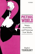 Cover-Bild zum Titel 'Picture World' von 'Rachel Teukolsky'