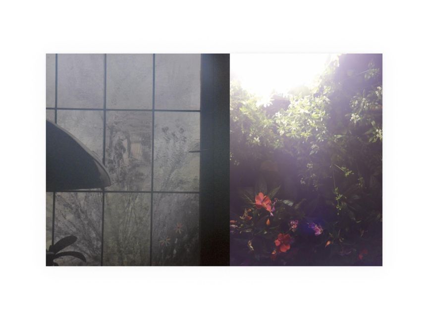 InsideView 5
