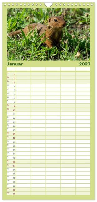 InsideView 5